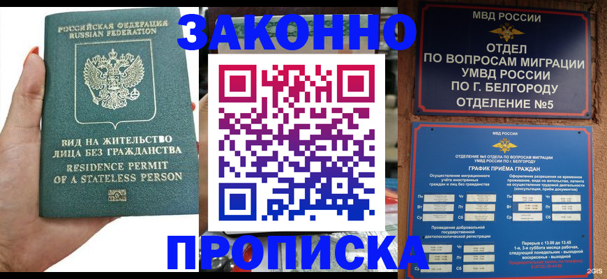 прописка для кредита в Ржеве